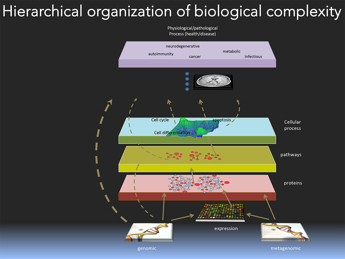 Biological Complexity