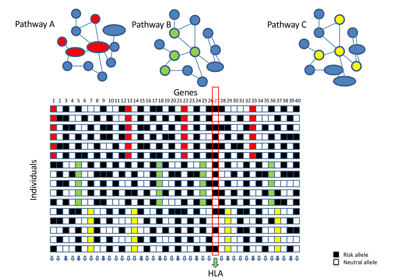 Pathways Analysis