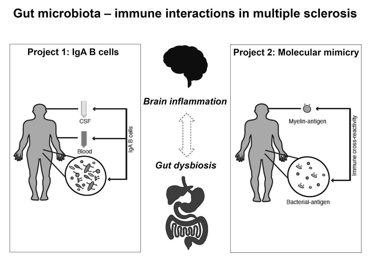 Microbiome